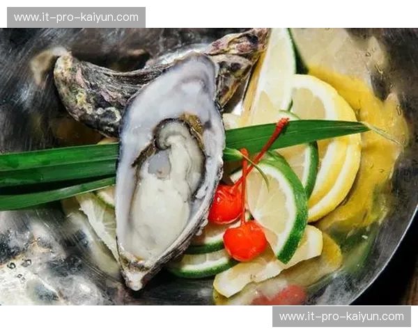 极地之秘与南半球之光：当平壤的冷面遇见奥克兰的蚝，谁才是真正的“世外桃源”？